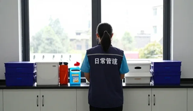 绿化养护在日常保洁套餐中的实际应用场景分析